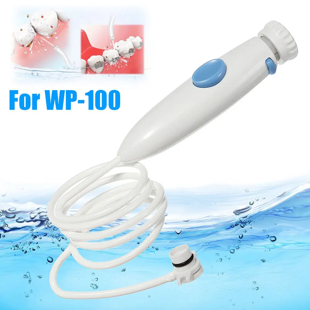 Water Flosser Waterpik WP-100  - Home Bathroom Cleaning Machine 리뷰 및 가격